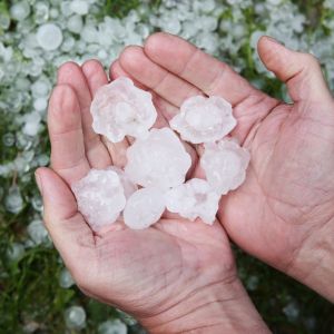 Hail Damage